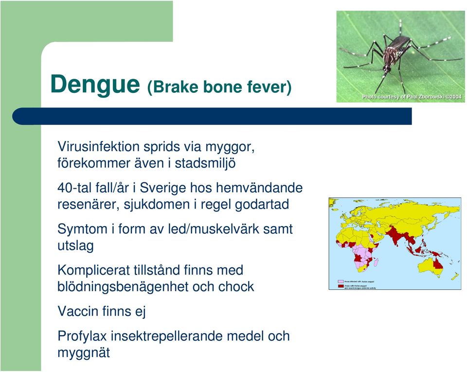 godartad Symtom i form av led/muskelvärk samt utslag Komplicerat tillstånd finns