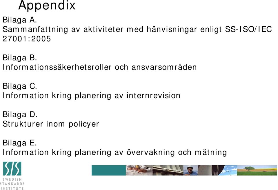 Bilaga B. Informationssäkerhetsroller och ansvarsområden Bilaga C.