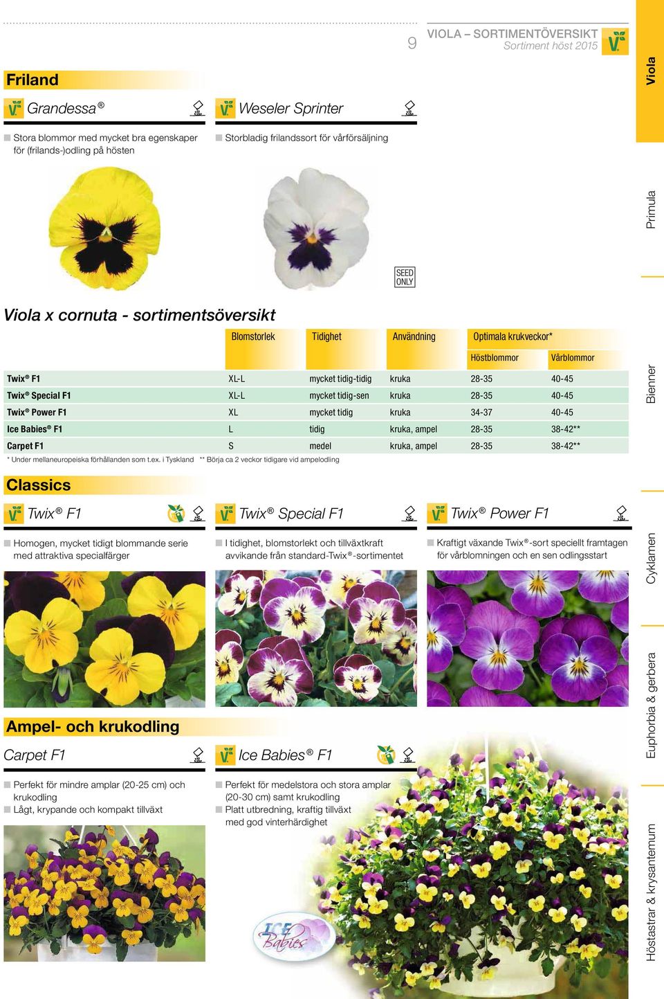 i Tyskland ** Börja ca 2 veckor tidigare vid ampelodling Classics Twix F1 Homogen, mycket tidigt blommande serie med attraktiva specialfärger Ampel- och krukodling Carpet F1 Perfekt för mindre amplar