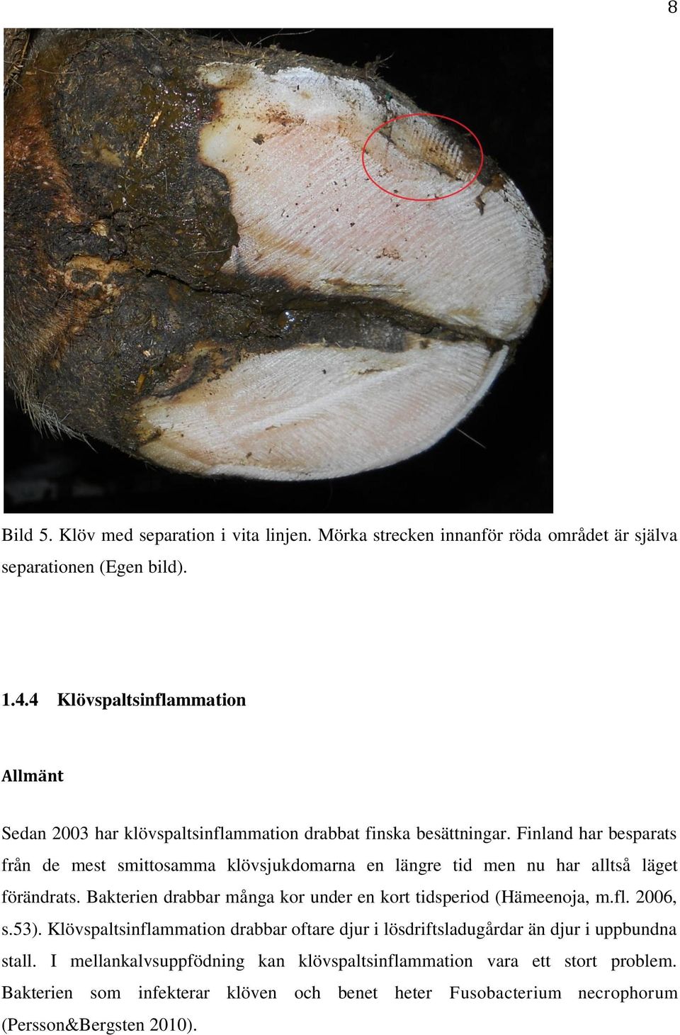 Finland har besparats från de mest smittosamma klövsjukdomarna en längre tid men nu har alltså läget förändrats.