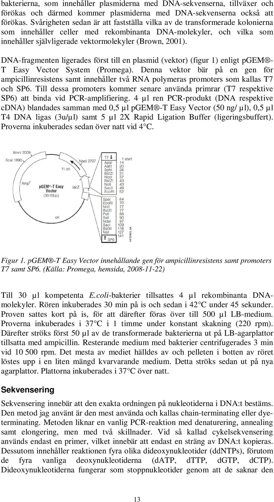 DNA-fragmenten ligerades först till en plasmid (vektor) (figur 1) enligt pgem - T Easy Vector System (Promega).