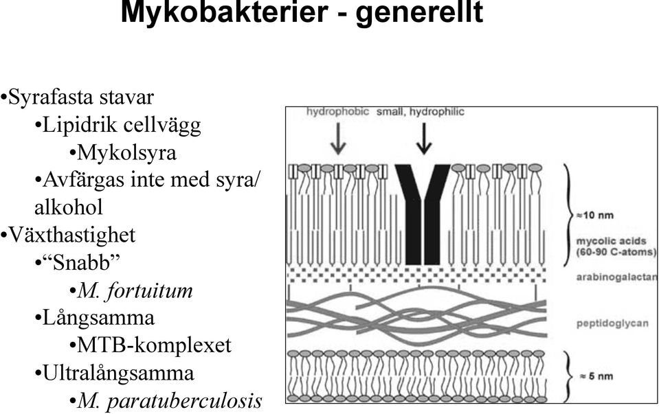 avfärgas inte med syra/ alkohol!växthastighet!