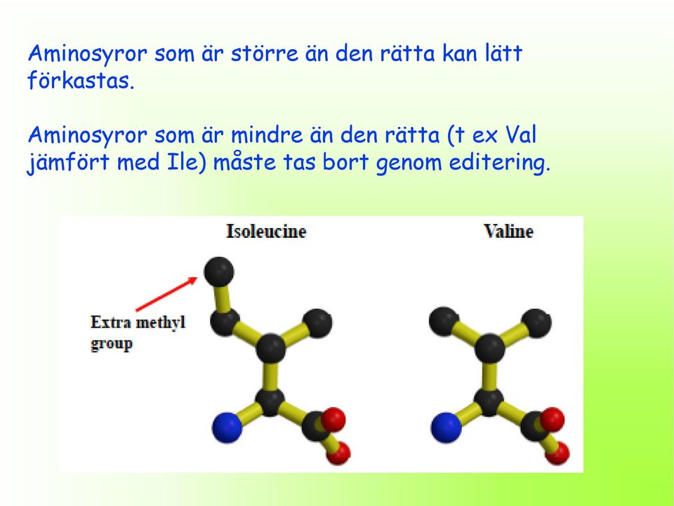 Aminosyror som är mindre än den rätta