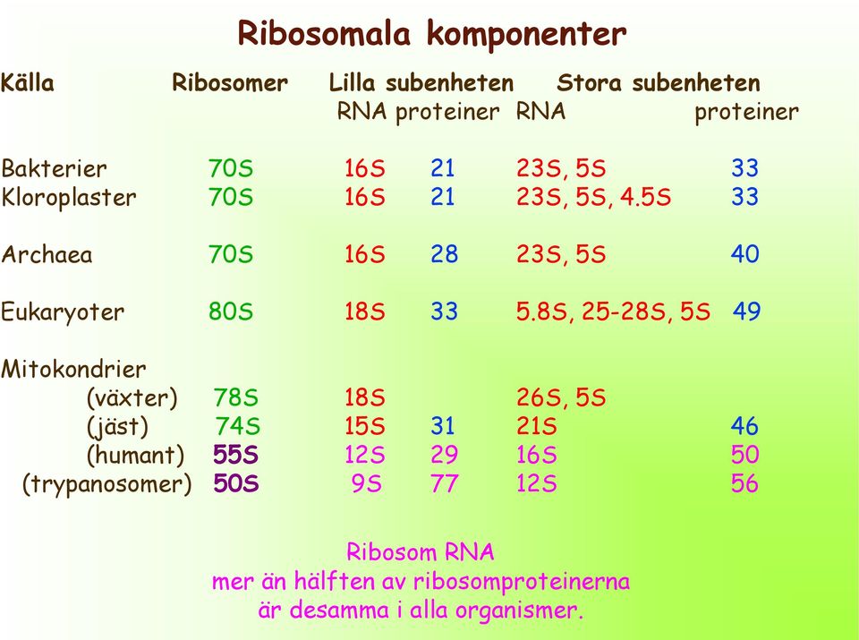 5S 33 Archaea 70S 16S 28 23S, 5S 40 Eukaryoter 80S 18S 33 5.