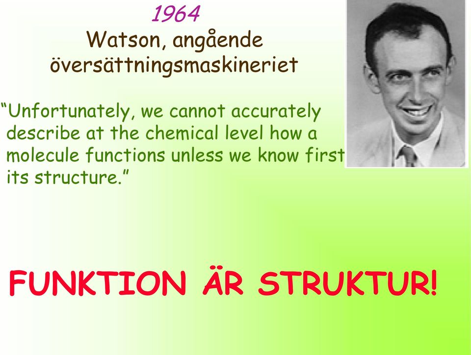 the chemical level how a molecule functions