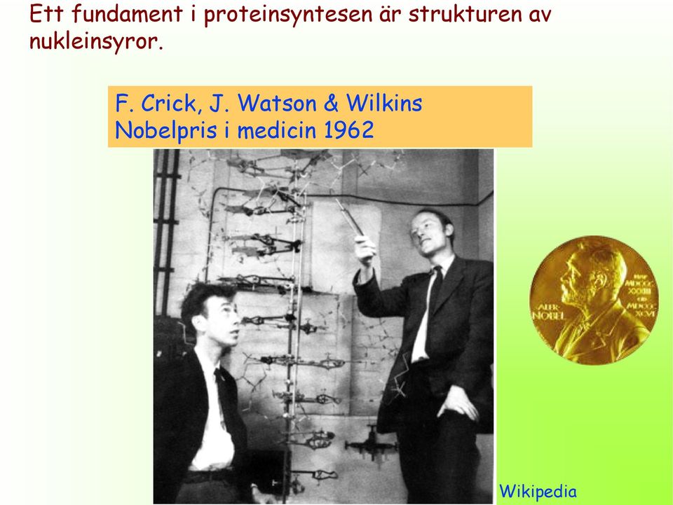 F. Crick, J.