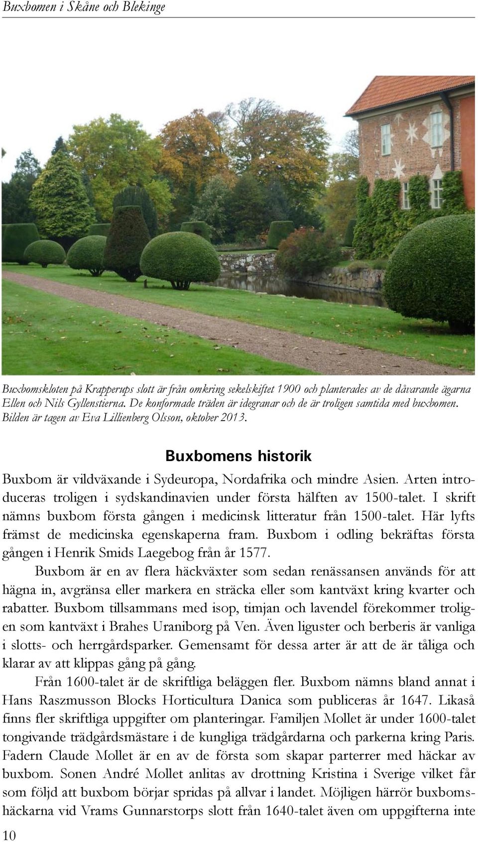 Buxbomens historik Buxbom är vildväxande i Sydeuropa, Nordafrika och mindre Asien. Arten introduceras troligen i sydskandinavien under första hälften av 1500-talet.