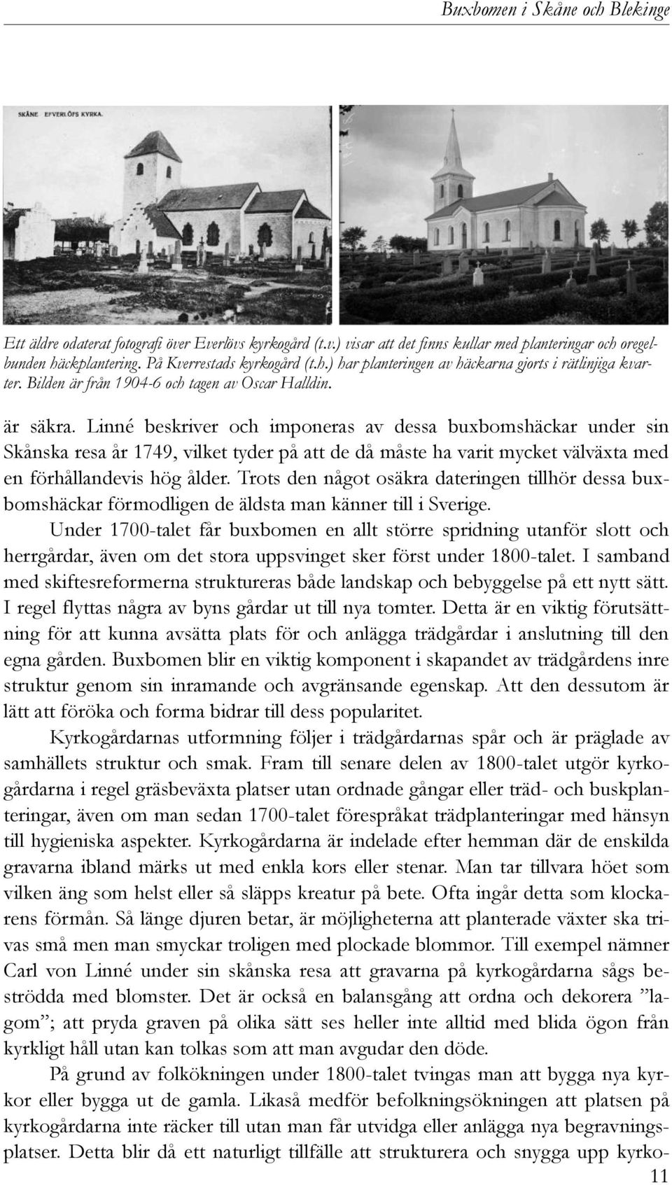 Linné beskriver och imponeras av dessa buxbomshäckar under sin Skånska resa år 1749, vilket tyder på att de då måste ha varit mycket välväxta med en förhållandevis hög ålder.