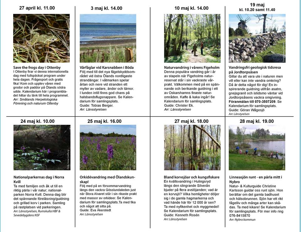 Kom och upplev våren med grodor och paddor på Ölands södra udde. Kalendarium här i programbladet hittar du länk till hela programmet.