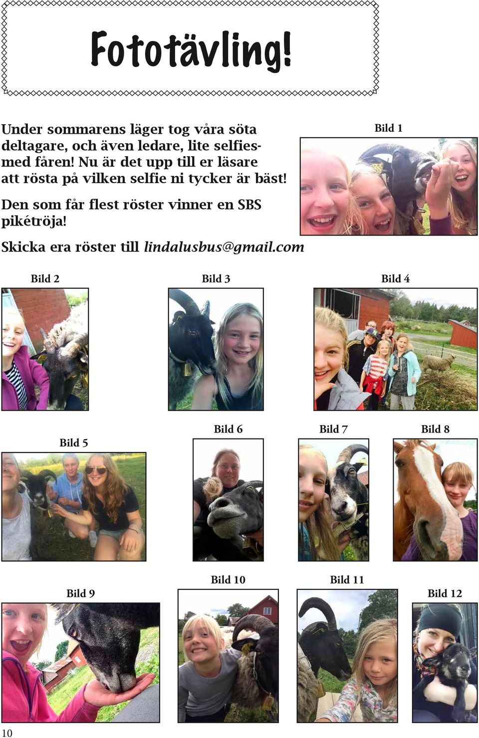 fåren! Nu är det upp till er läsare att rösta på vilken selfie ni tycker är bäst!