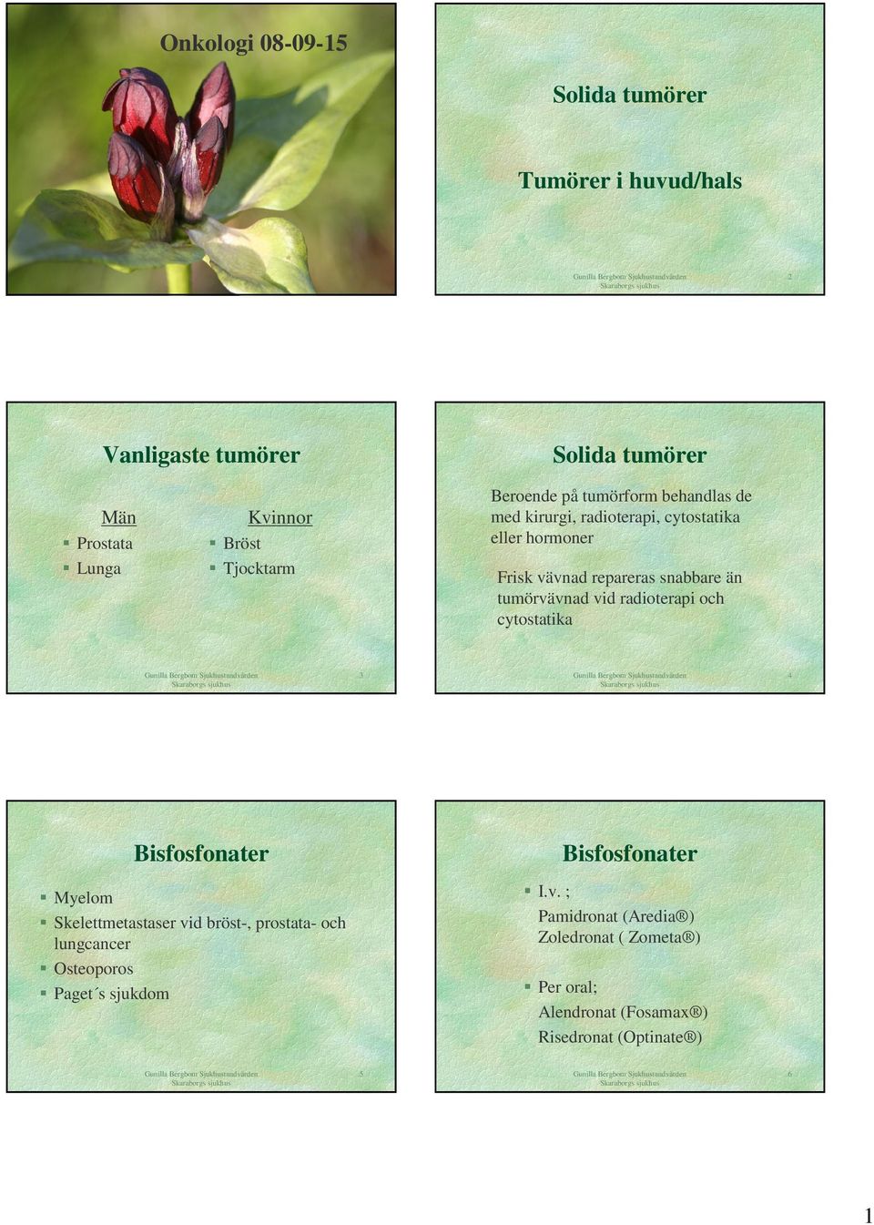 tumörvävnad vid radioterapi och cytostatika 3 4 Bisfosfonater Bisfosfonater Myelom Skelettmetastaser vid bröst-, prostata- och