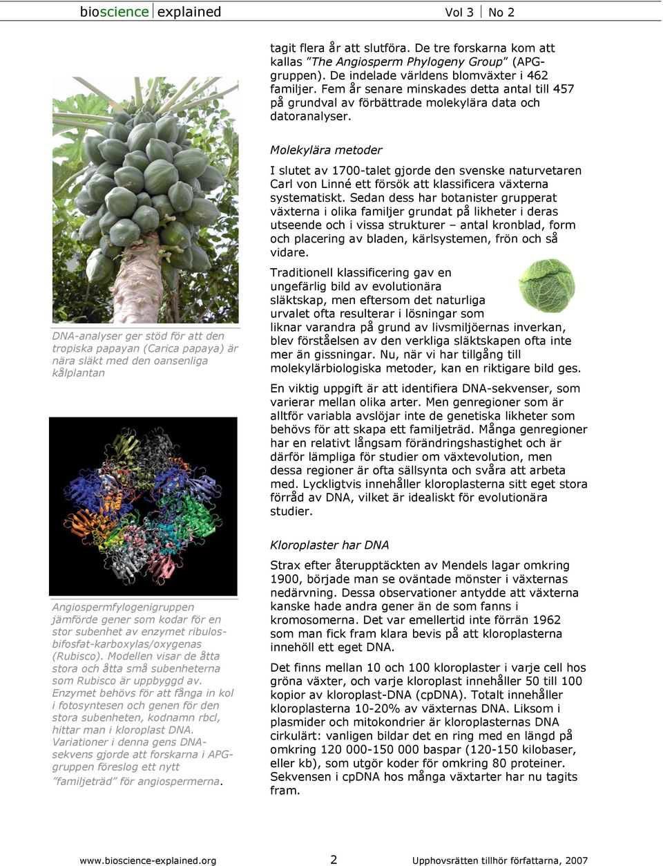 DNA-analyser ger stöd för att den tropiska papayan (Carica papaya) är nära släkt med den oansenliga kålplantan Molekylära metoder I slutet av 1700-talet gjorde den svenske naturvetaren Carl von Linné