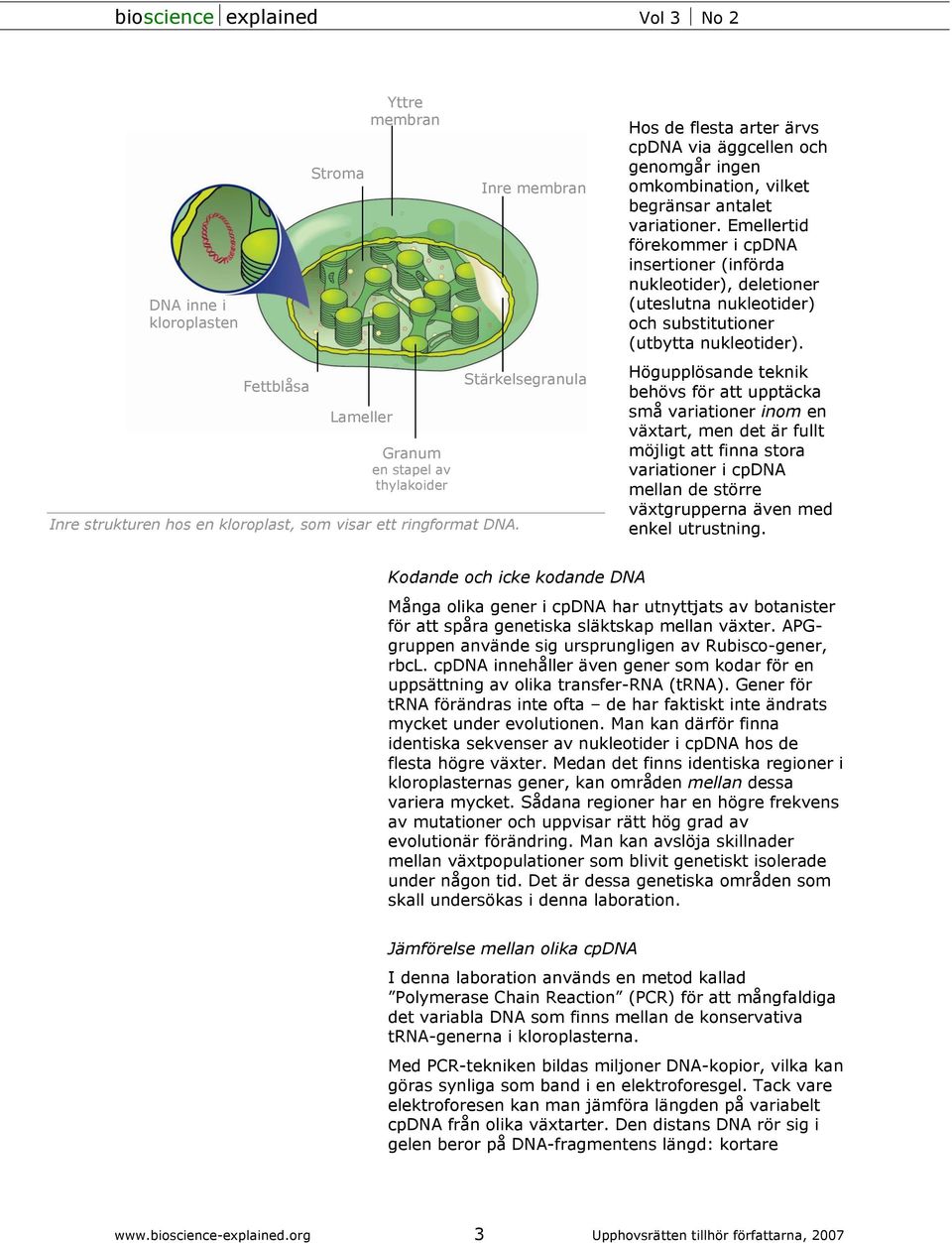 Emellertid förekommer i cpdna insertioner (införda nukleotider), deletioner (uteslutna nukleotider) och substitutioner (utbytta nukleotider).