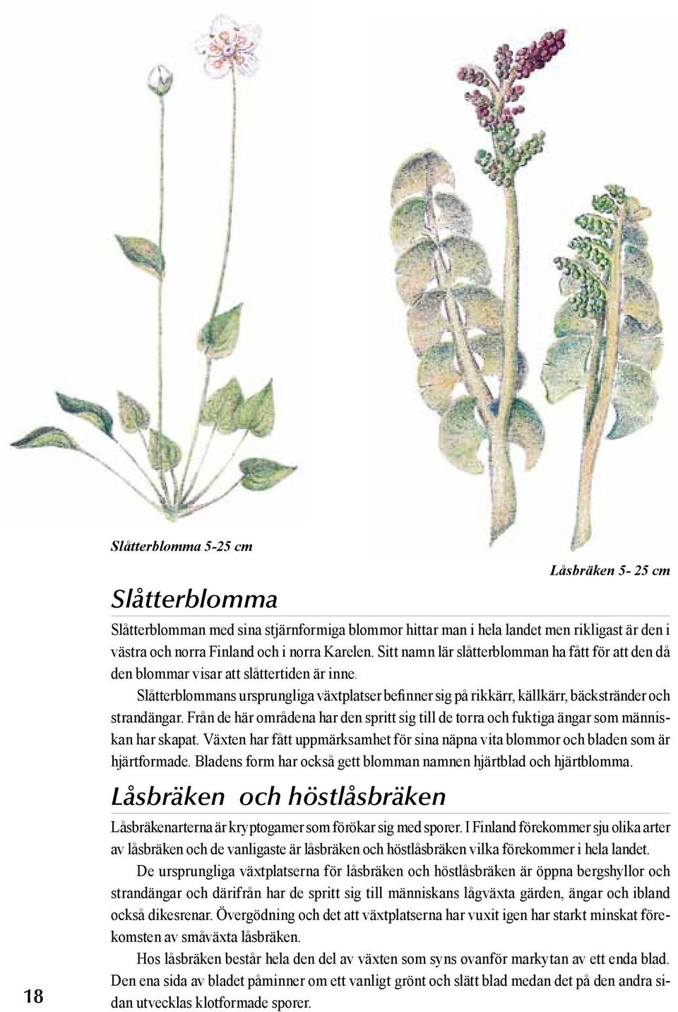 Slåtterblommans ursprungliga växtplatser befinner sig på rikkärr, källkärr, bäckstränder och strandängar.