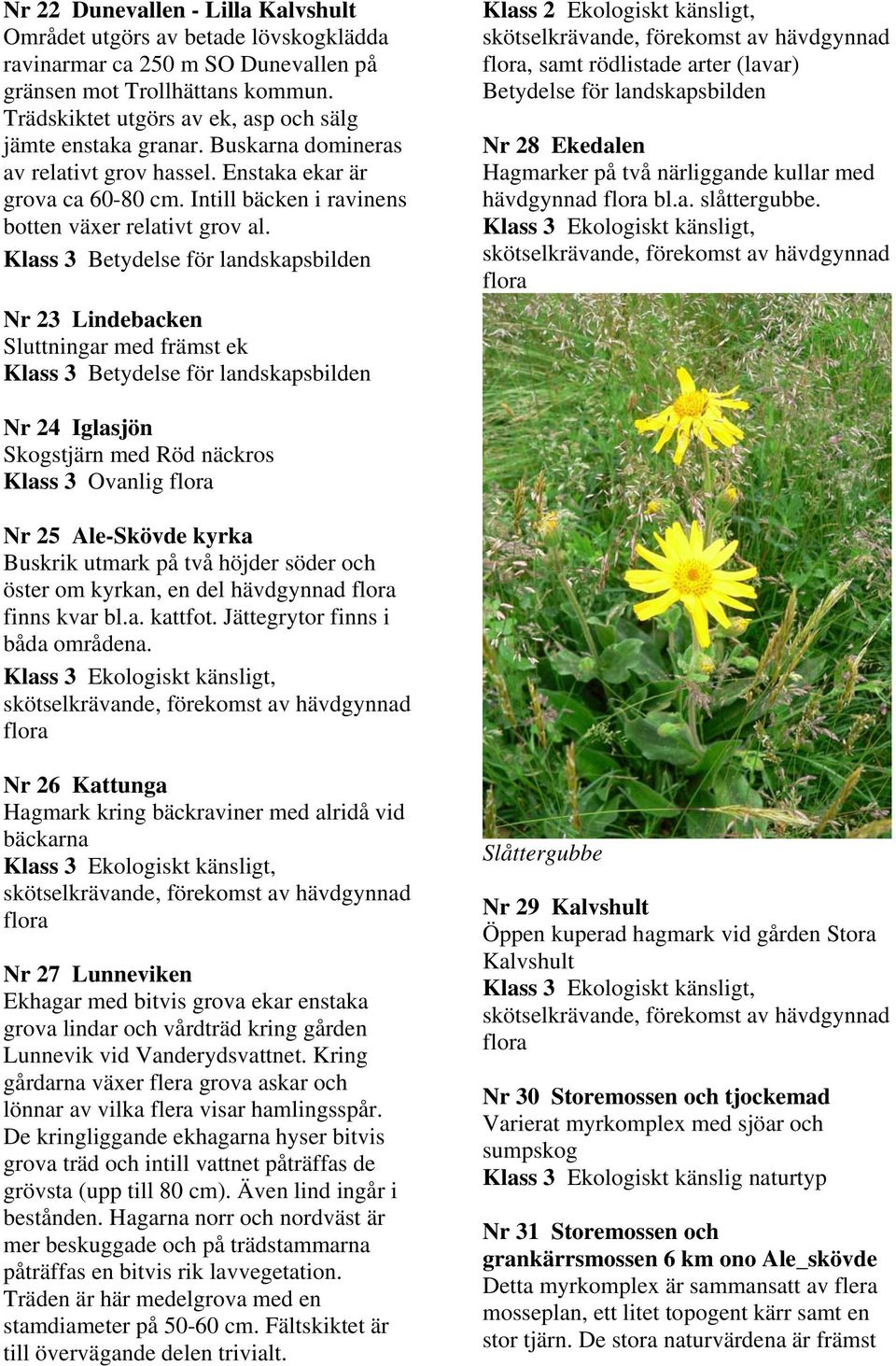 Nr 23 Lindebacken Sluttningar med främst ek Klass 2 Ekologiskt känsligt, skötselkrävande, förekomst av hävdgynnad, samt rödlistade arter (lavar) Betydelse för landskapsbilden Nr 28 Ekedalen Hagmarker