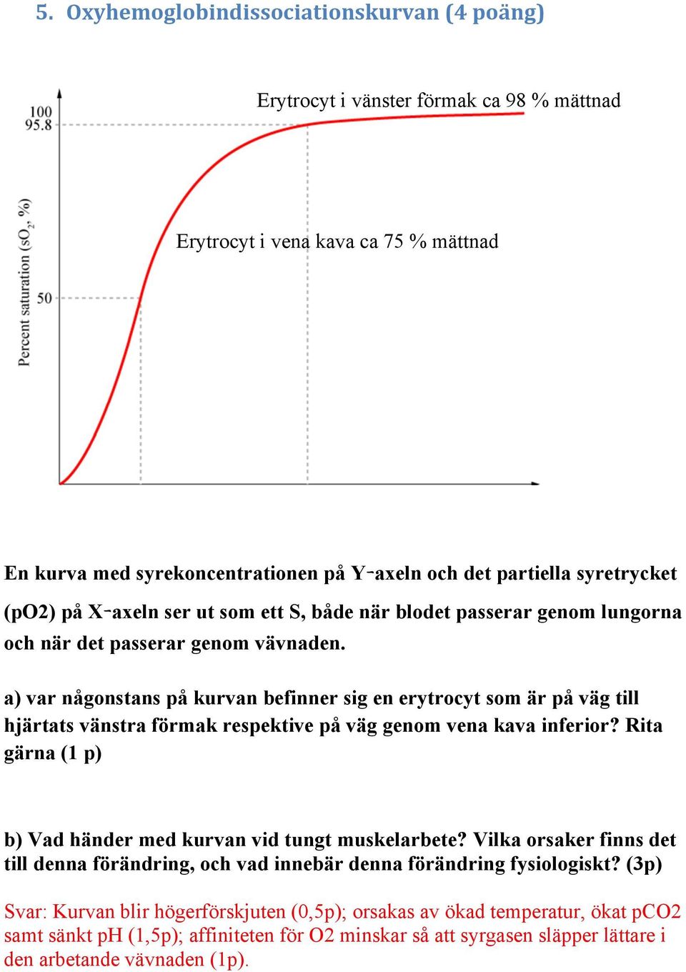 a) var någonstans på kurvan befinner sig en erytrocyt som är på väg till hjärtats vänstra förmak respektive på väg genom vena kava inferior?