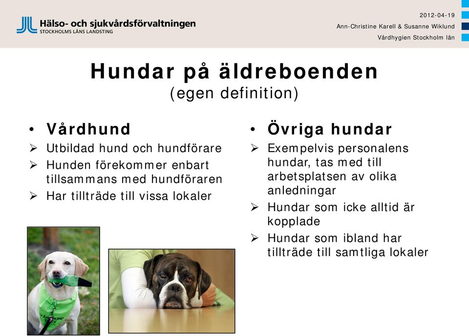 hundar Exempelvis personalens hundar, tas med till arbetsplatsen av olika anledningar