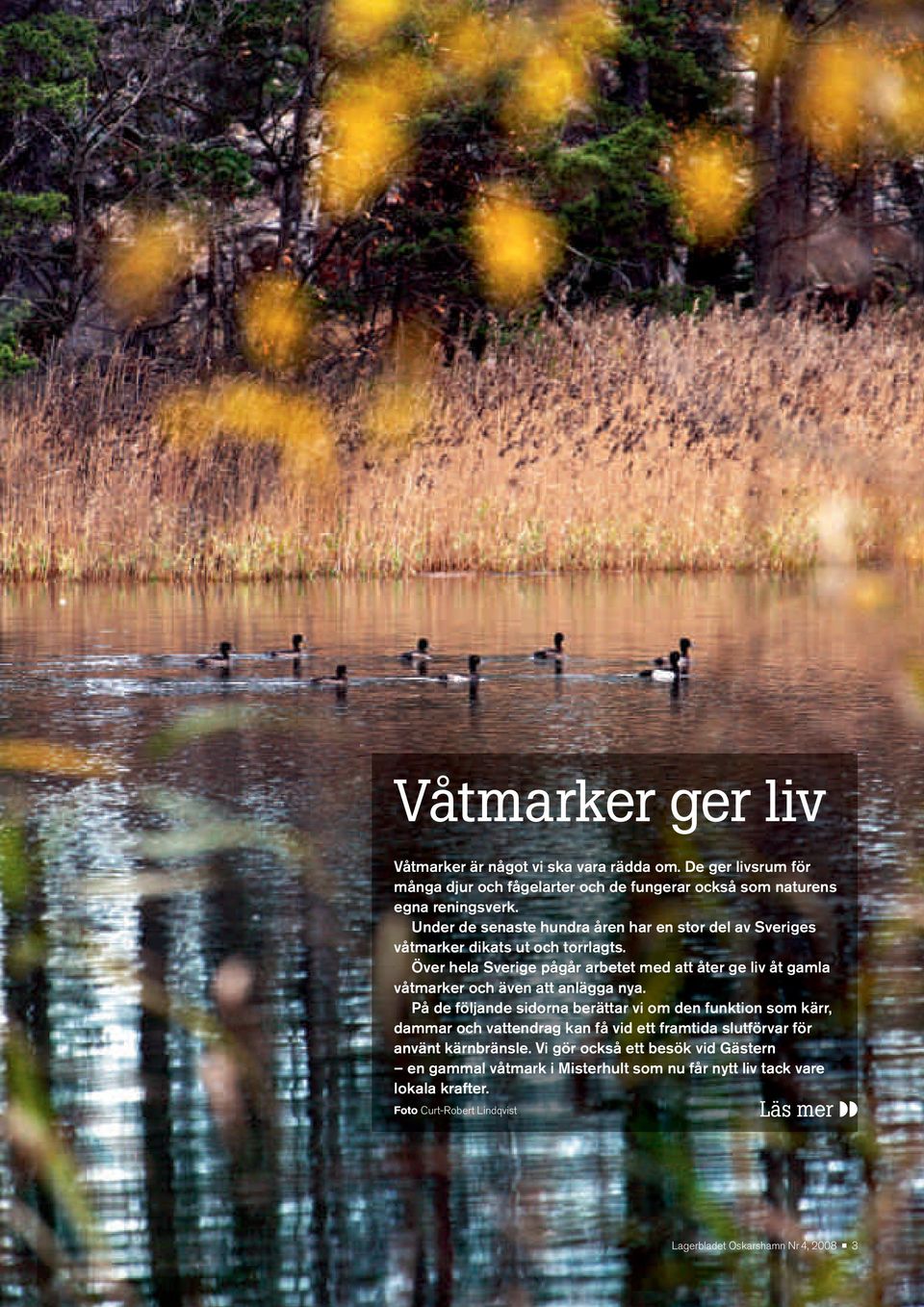 Över hela Sverige pågår arbetet med att åter ge liv åt gamla våtmarker och även att anlägga nya.