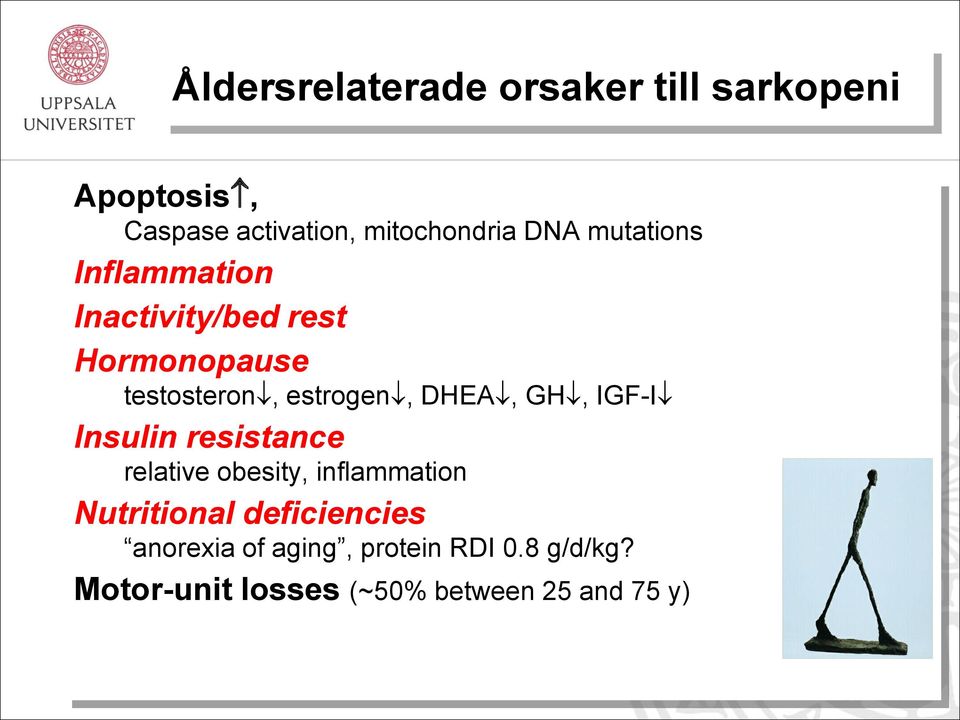 DHEA, GH, IGF-I Insulin resistance relative obesity, inflammation Nutritional