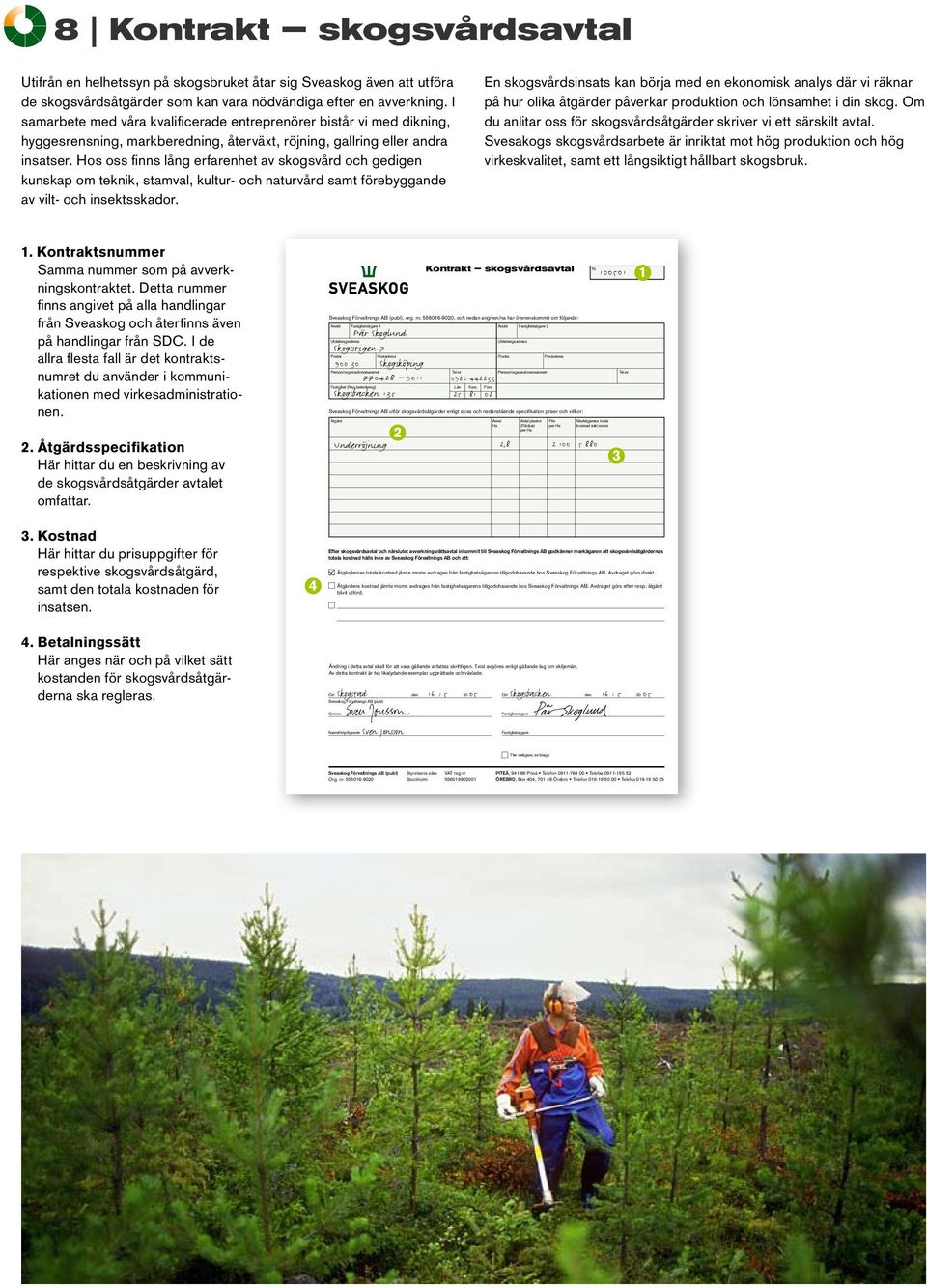 Hos oss finns lång erfarenhet av skogsvård och gedigen kunskap om teknik, stamval, kultur- och naturvård samt förebyggande av vilt- och insektsskador.