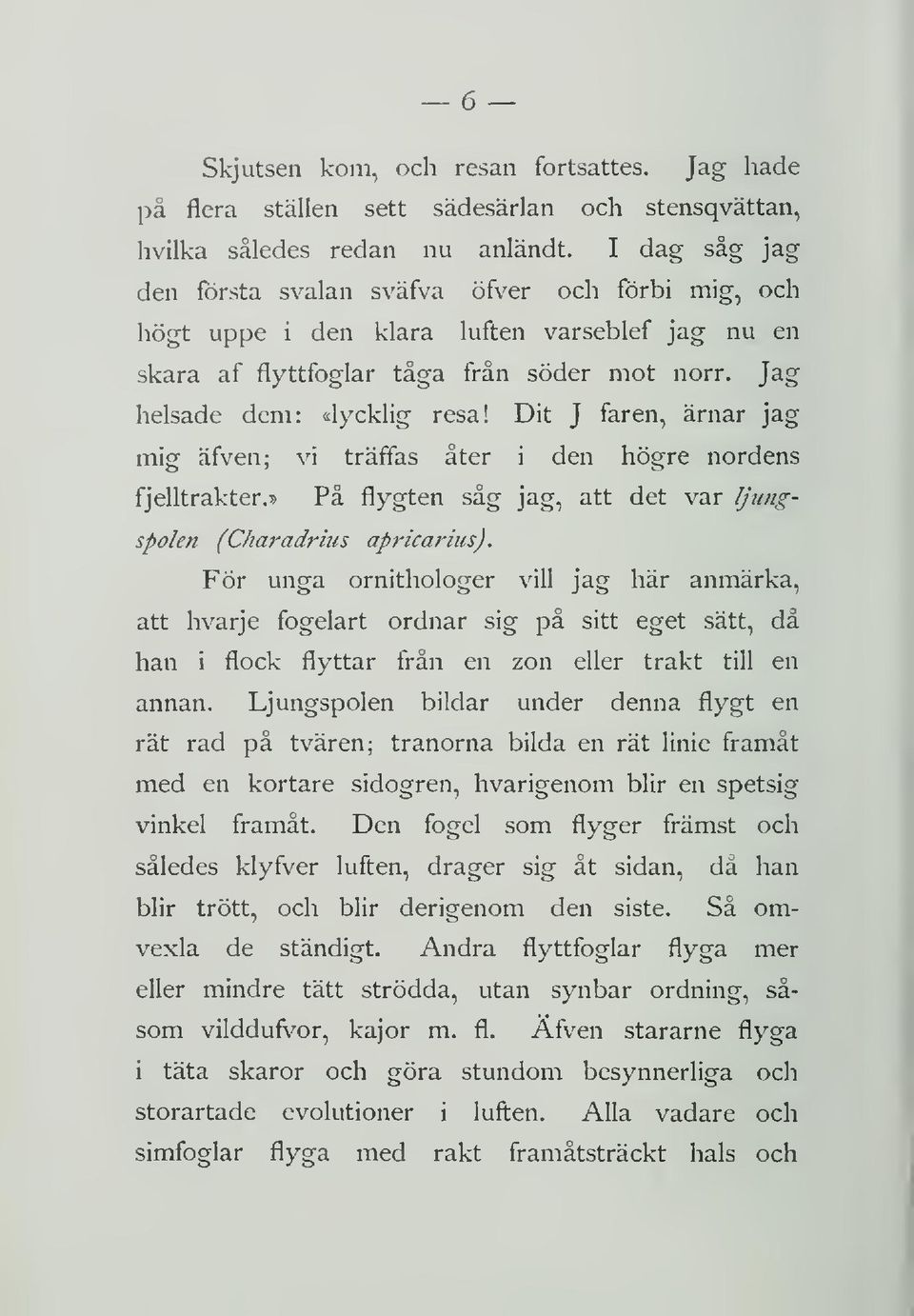 Dit J faren, arnar jag mig afven; vi tråffas åter i den hogre nordens fjelltrakter.» På flygten såg jag, att det var Ijungspolen (Charadriiis apricarius).