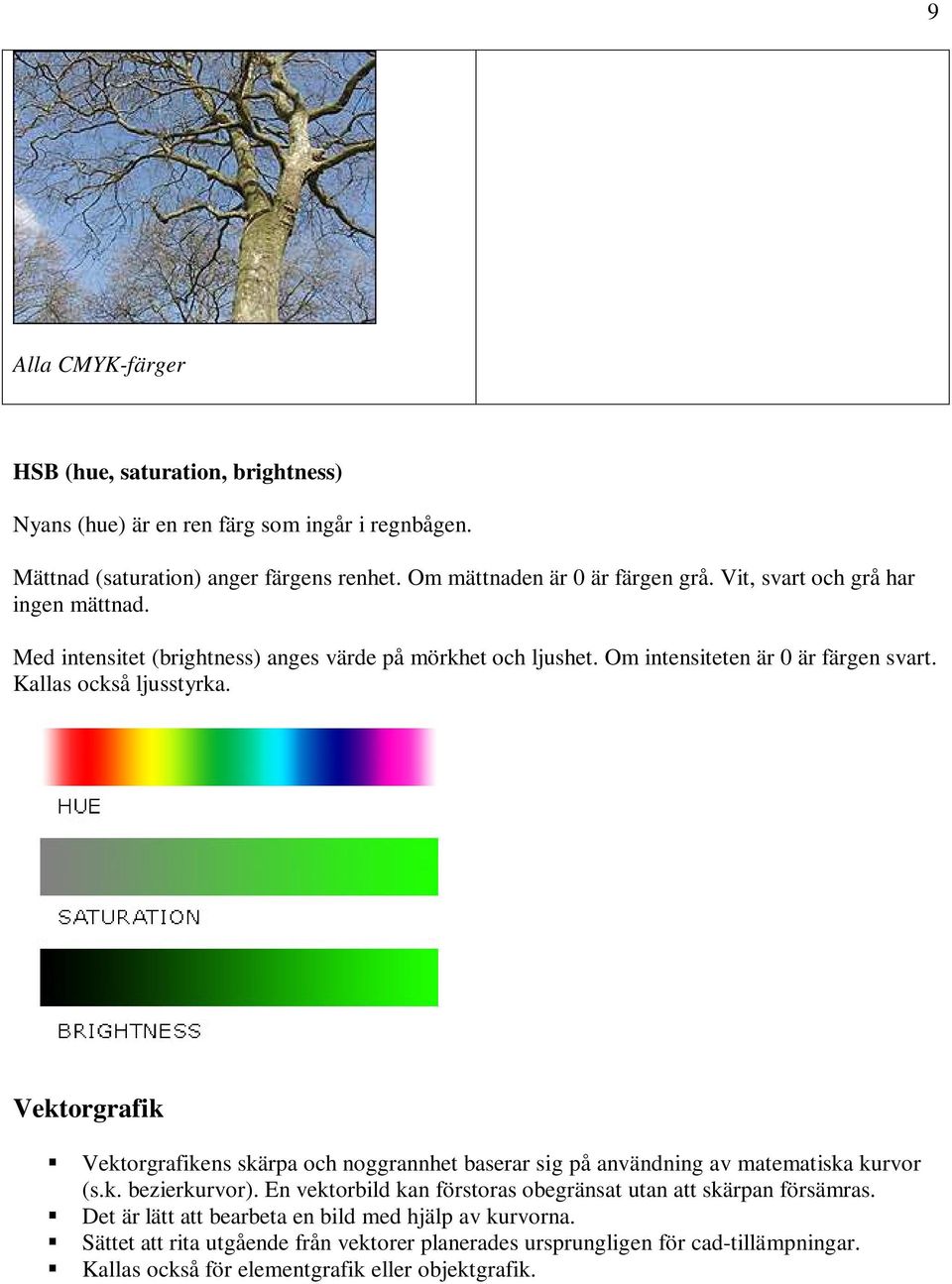 Vektorgrafik Vektorgrafikens skärpa och noggrannhet baserar sig på användning av matematiska kurvor (s.k. bezierkurvor).