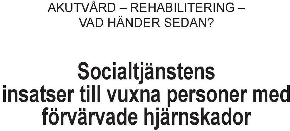 Socialtjänstens insatser