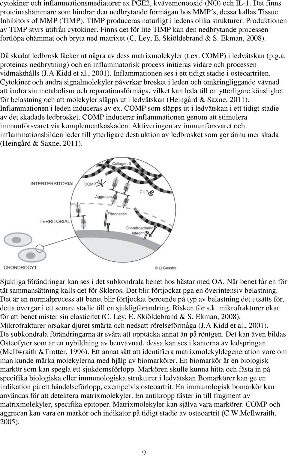 Ley, E. Skiöldebrand & S. Ekman, 2008). Då skadat ledbrosk läcker ut några av dess matrixmolekyler (t.ex. COMP) i ledvätskan (p.g.a. proteinas nedbrytning) och en inflammatorisk process initieras vidare och processen vidmakthålls (J.