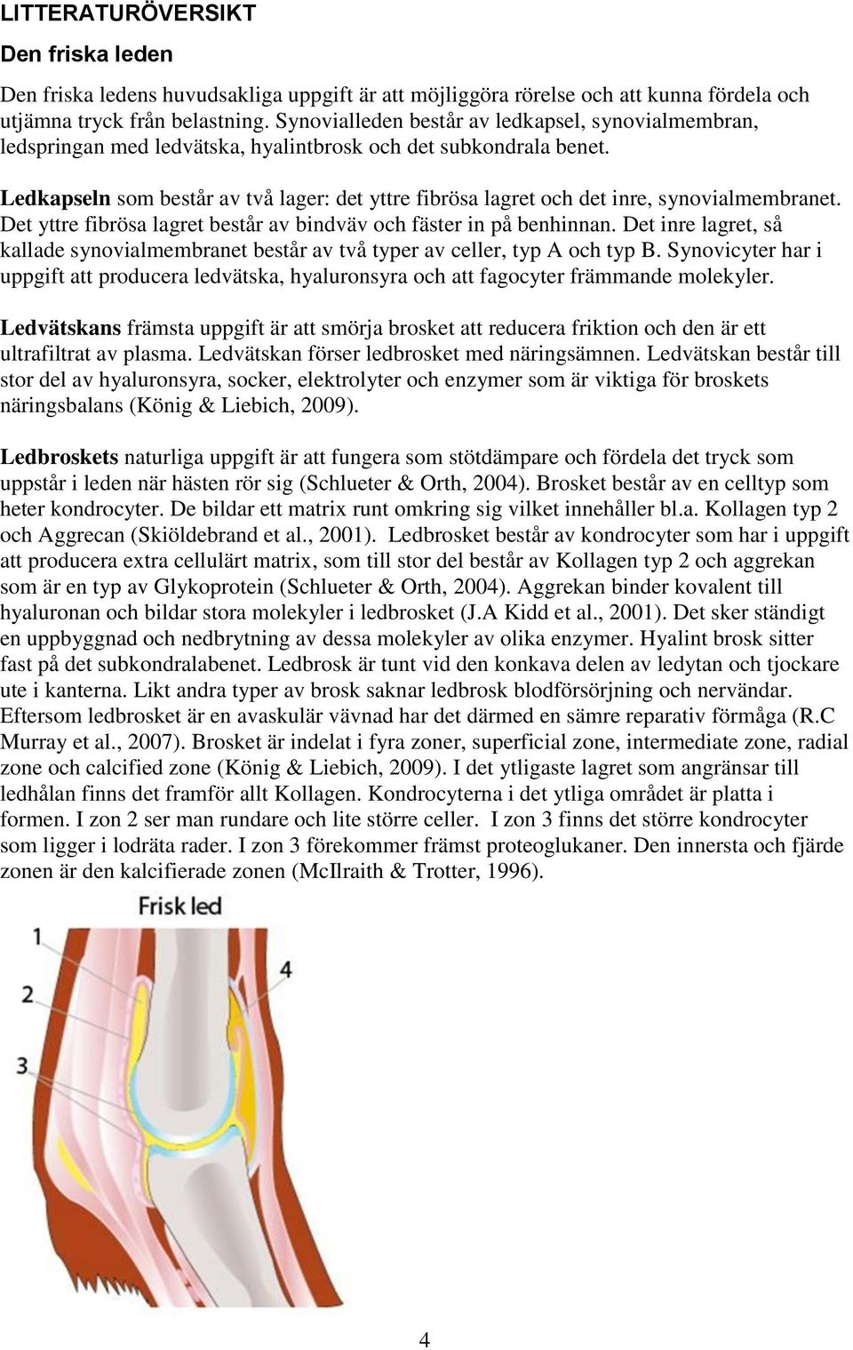 Ledkapseln som består av två lager: det yttre fibrösa lagret och det inre, synovialmembranet. Det yttre fibrösa lagret består av bindväv och fäster in på benhinnan.