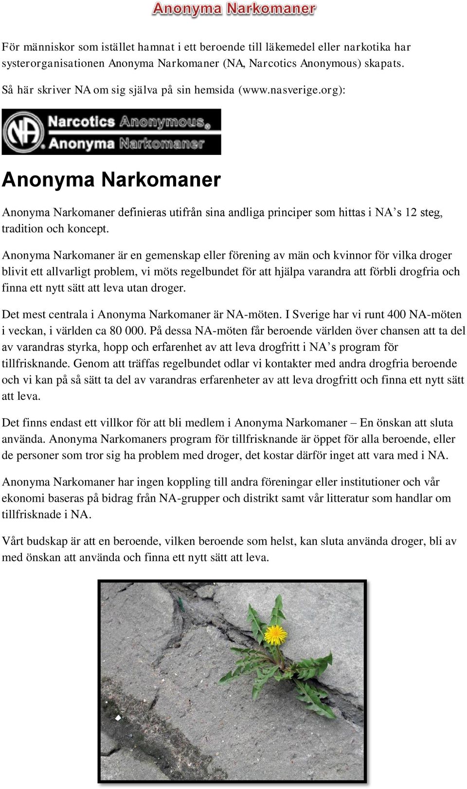 Anonyma Narkomaner är en gemenskap eller förening av män och kvinnor för vilka droger blivit ett allvarligt problem, vi möts regelbundet för att hjälpa varandra att förbli drogfria och finna ett nytt