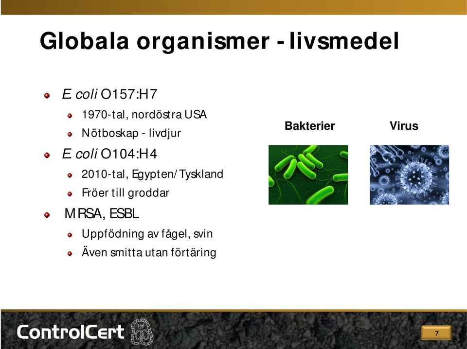 coli O104:H4 2010-tal, Egypten/Tyskland Fröer till groddar