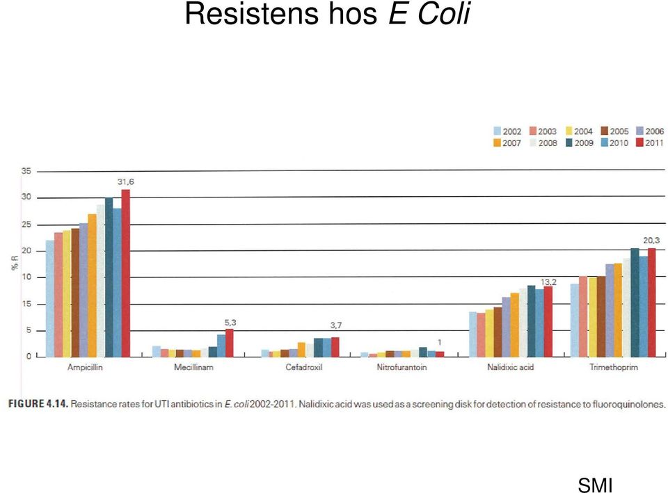 Coli SMI