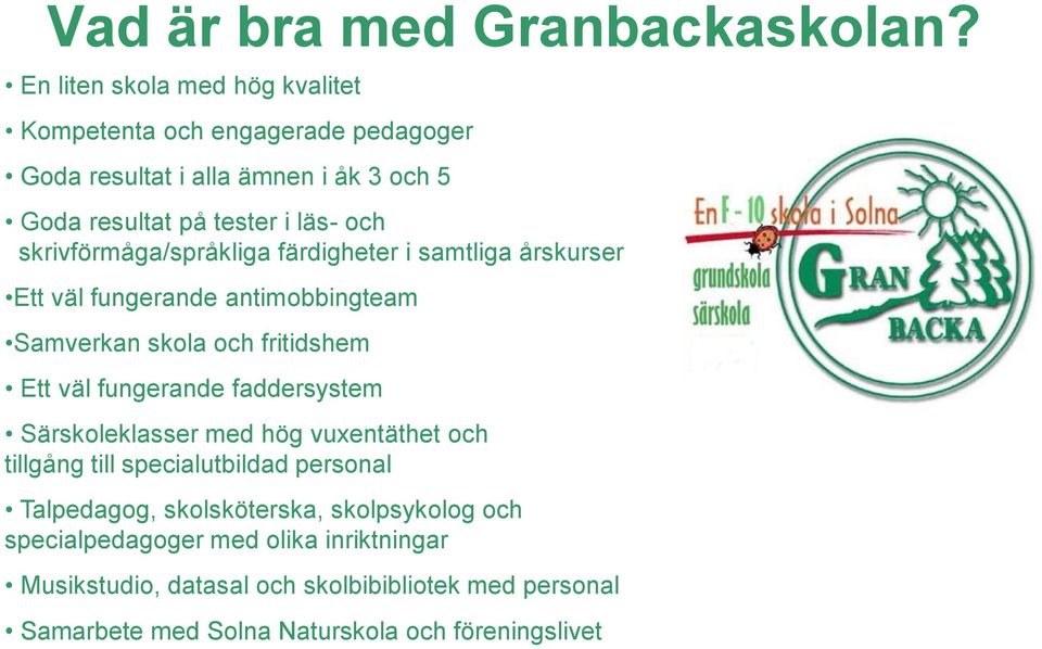 skrivförmåga/språkliga färdigheter i samtliga årskurser Ett väl fungerande antimobbingteam Samverkan skola och fritidshem Ett väl fungerande