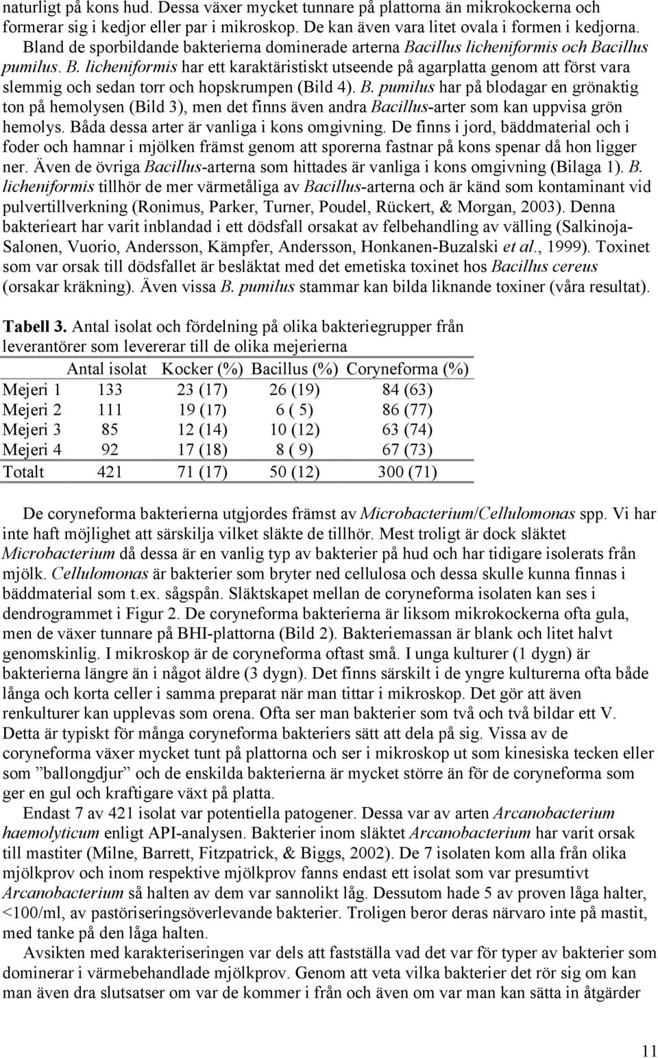 B. pumilus har på blodagar en grönaktig ton på hemolysen (Bild 3), men det finns även andra Bacillus-arter som kan uppvisa grön hemolys. Båda dessa arter är vanliga i kons omgivning.