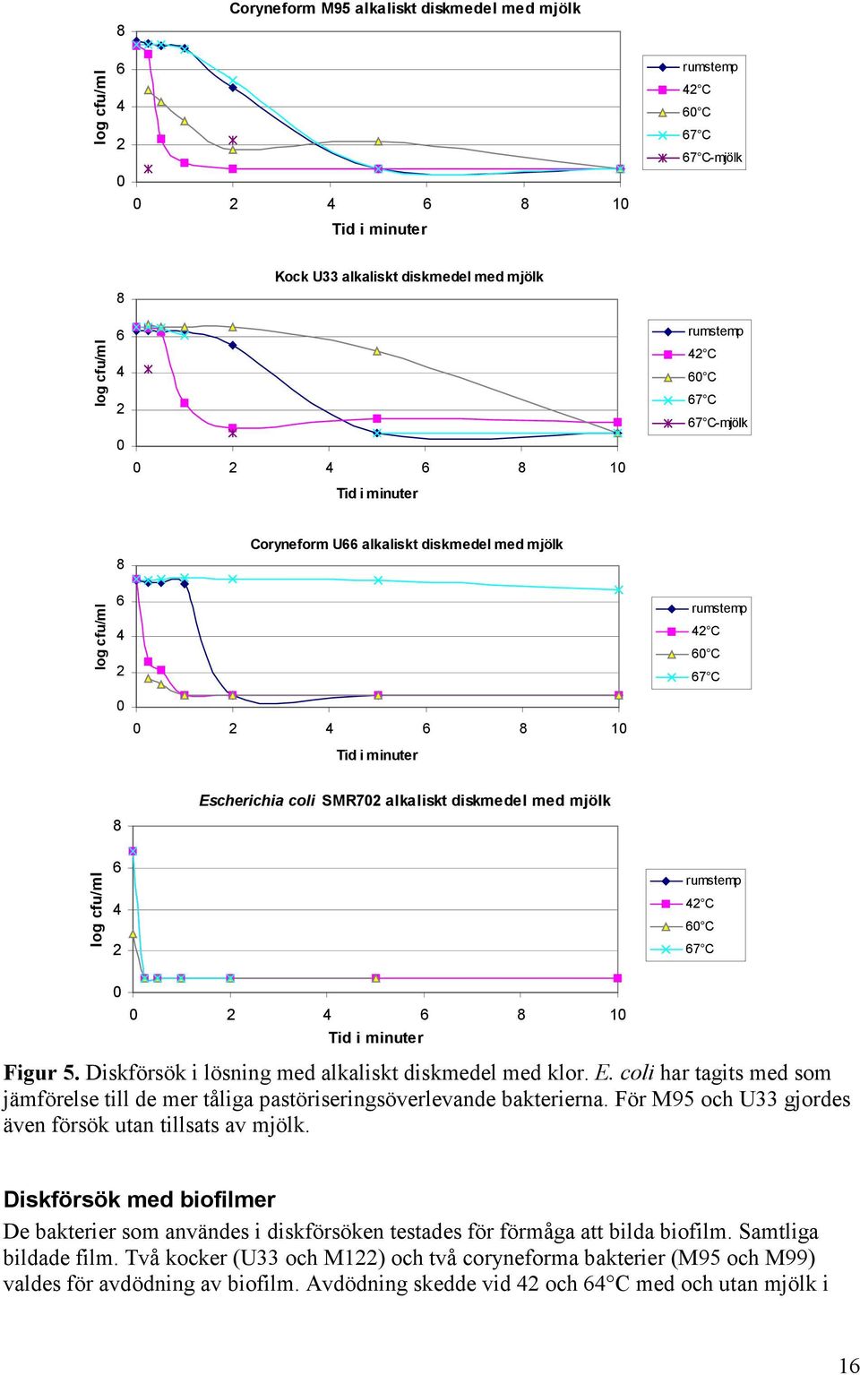 För M95 och U33 gjordes även försök utan tillsats av mjölk. Diskförsök med biofilmer De bakterier som användes i diskförsöken testades för förmåga att bilda biofilm. Samtliga bildade film.