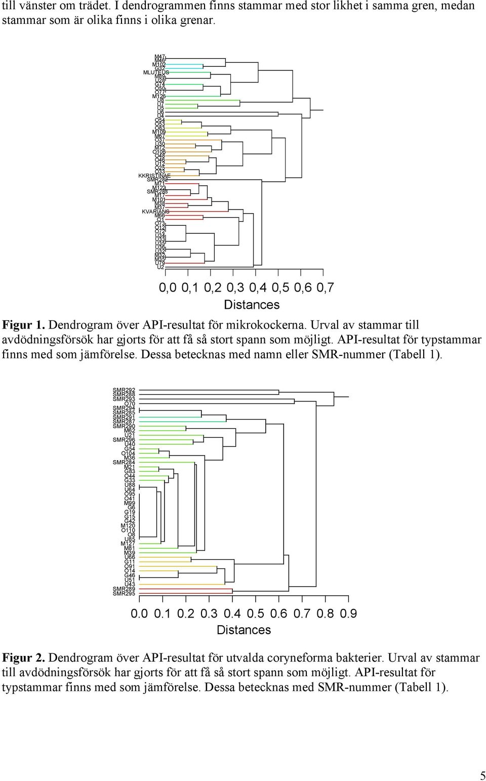 U,,1,,3,,5,,7 Distances Figur 1. Dendrogram över API-resultat för mikrokockerna. Urval av stammar till avdödningsförsök har gjorts för att få så stort spann som möjligt.