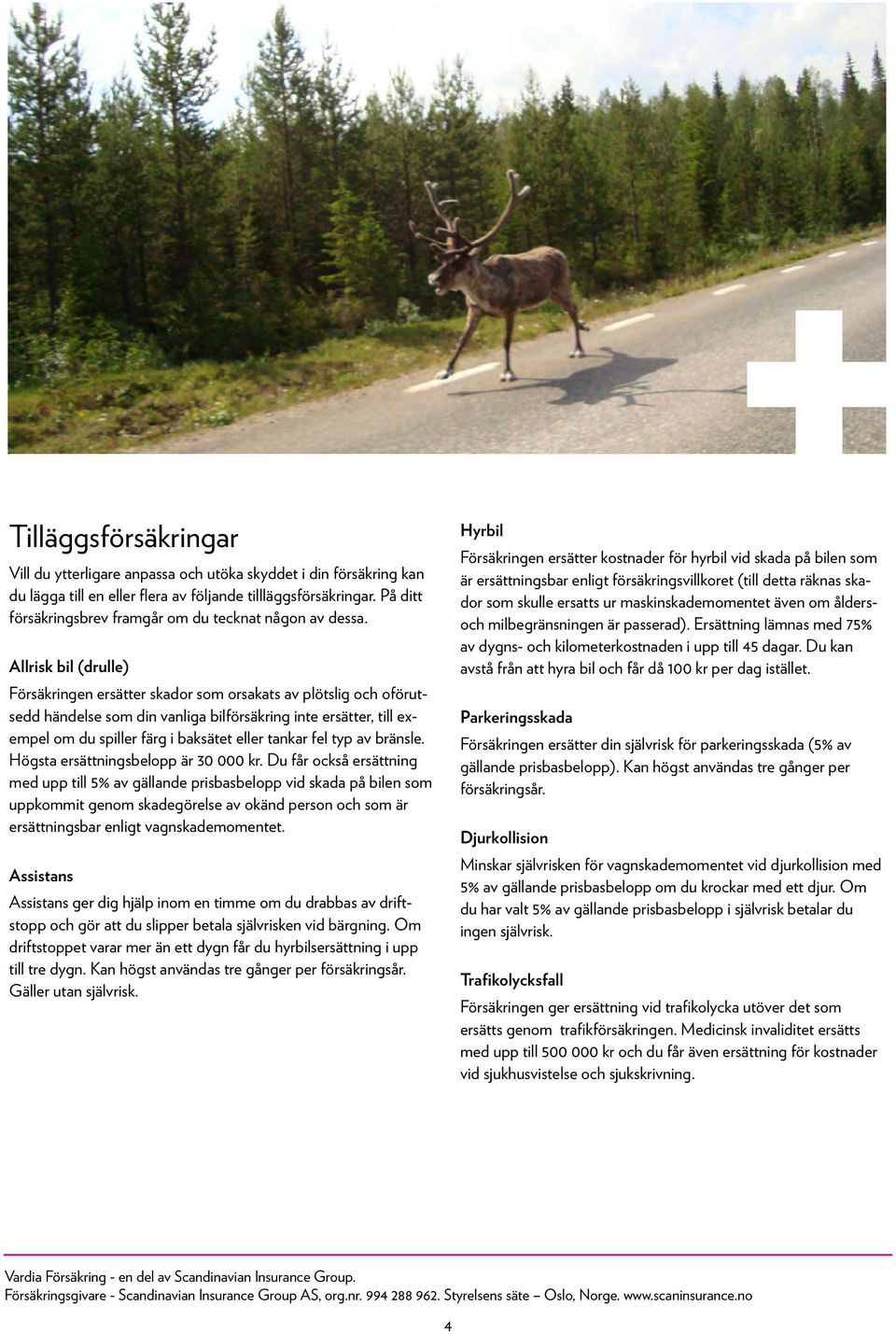 Allrisk bil (drulle) skador som orsakats av plötslig och oförutsedd händelse som din vanliga bilförsäkring inte ersätter, till exempel om du spiller färg i baksätet eller tankar fel typ av bränsle.
