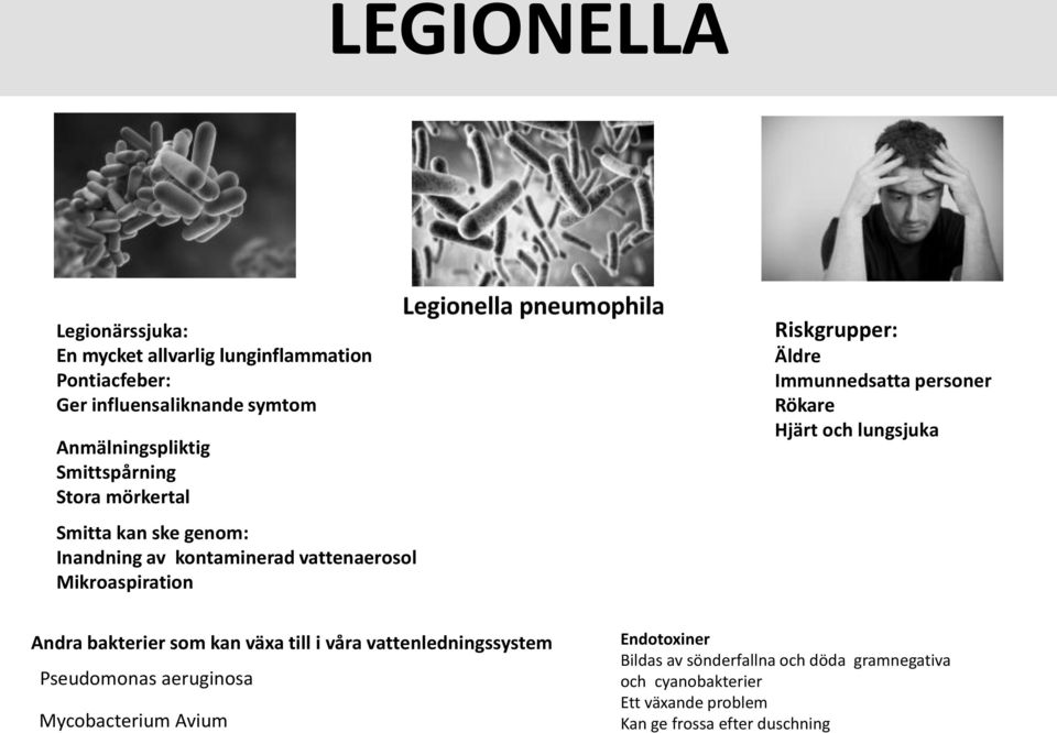 Immunnedsatta personer Rökare Hjärt och lungsjuka Andra bakterier som kan växa till i våra vattenledningssystem Pseudomonas