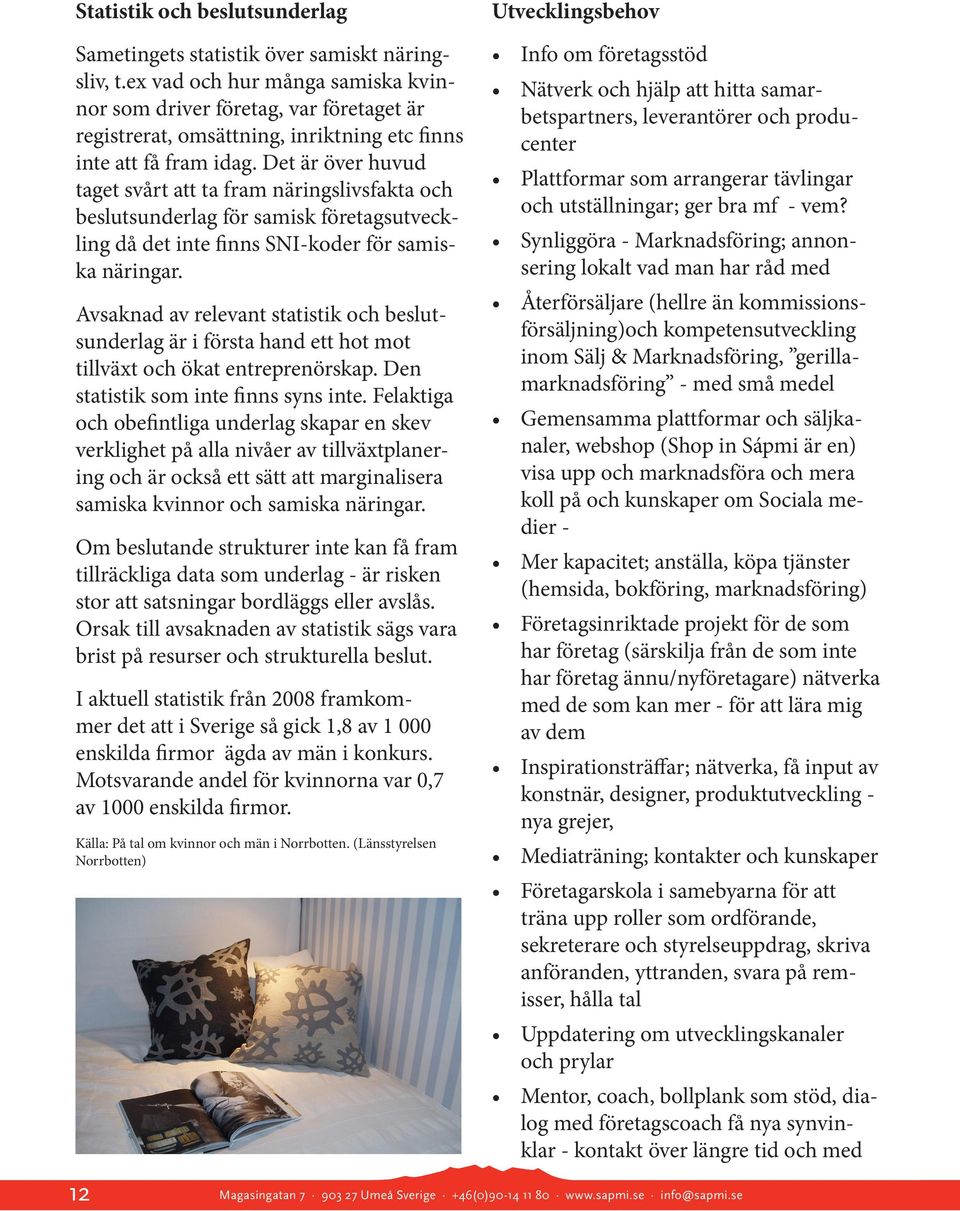 Det är över huvud taget svårt att ta fram näringslivsfakta och beslutsunderlag för samisk företagsutveckling då det inte finns SNI-koder för samiska näringar.