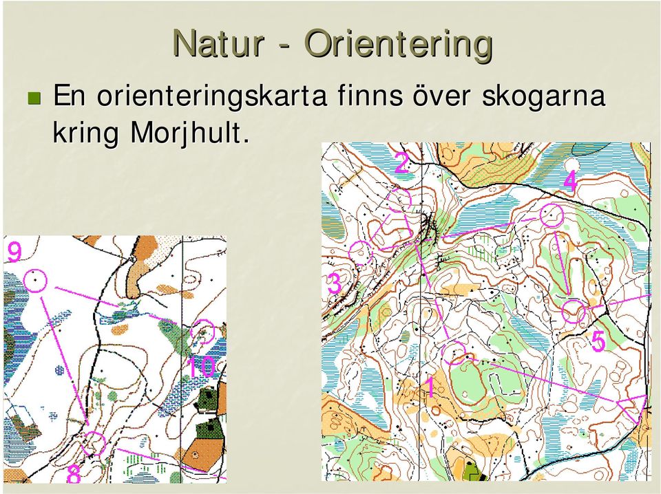 orienteringskarta