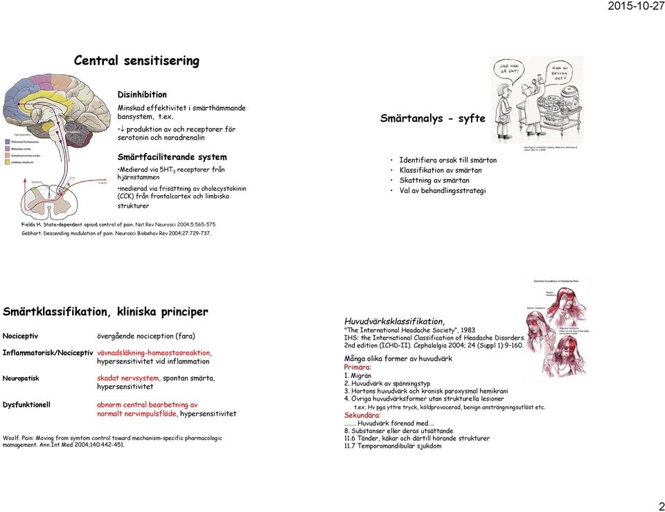 frontalcortex och limbiska strukturer Smärtanalys - syfte Identifiera orsak till smärtan Klassifikation av smärtan Skattning av smärtan Val av behandlingsstrategi Bild Ragnar Levi/Robert Nyberg.