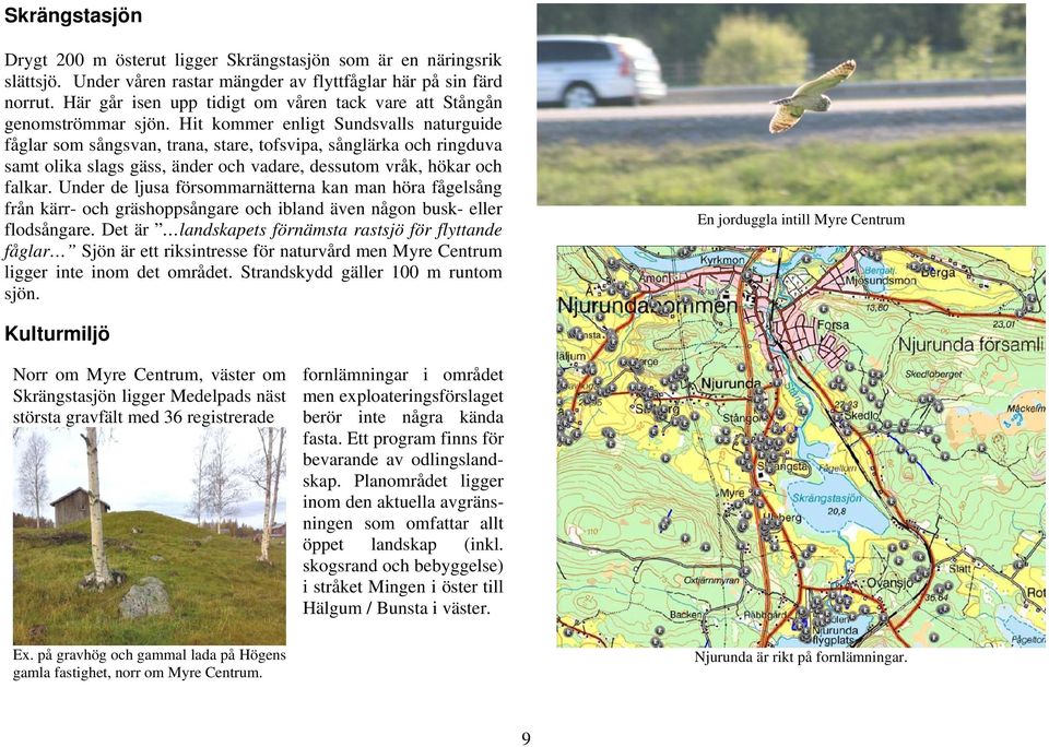 Hit kommer enligt Sundsvalls naturguide fåglar som sångsvan, trana, stare, tofsvipa, sånglärka och ringduva samt olika slags gäss, änder och vadare, dessutom vråk, hökar och falkar.