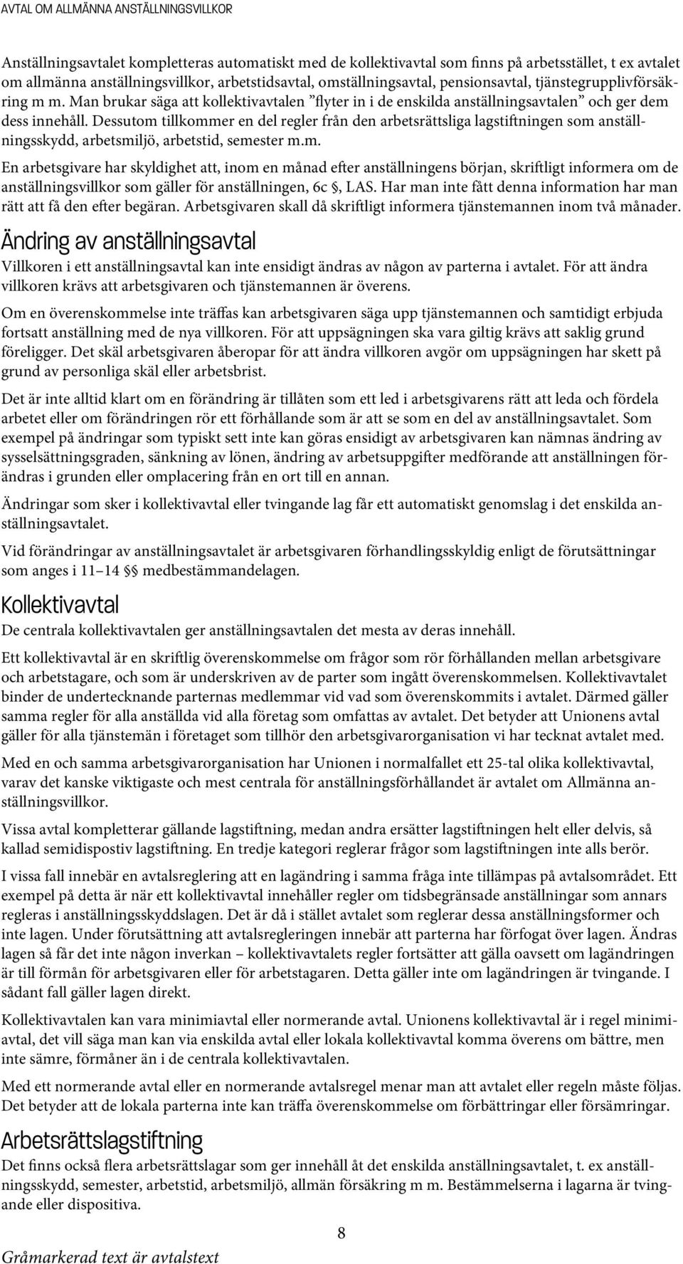 Dessutom tillkommer en del regler från den arbetsrättsliga lagstiftningen som anställningsskydd, arbetsmiljö, arbetstid, semester m.m. En arbetsgivare har skyldighet att, inom en månad efter anställningens början, skriftligt informera om de anställningsvillkor som gäller för anställningen, 6c, LAS.