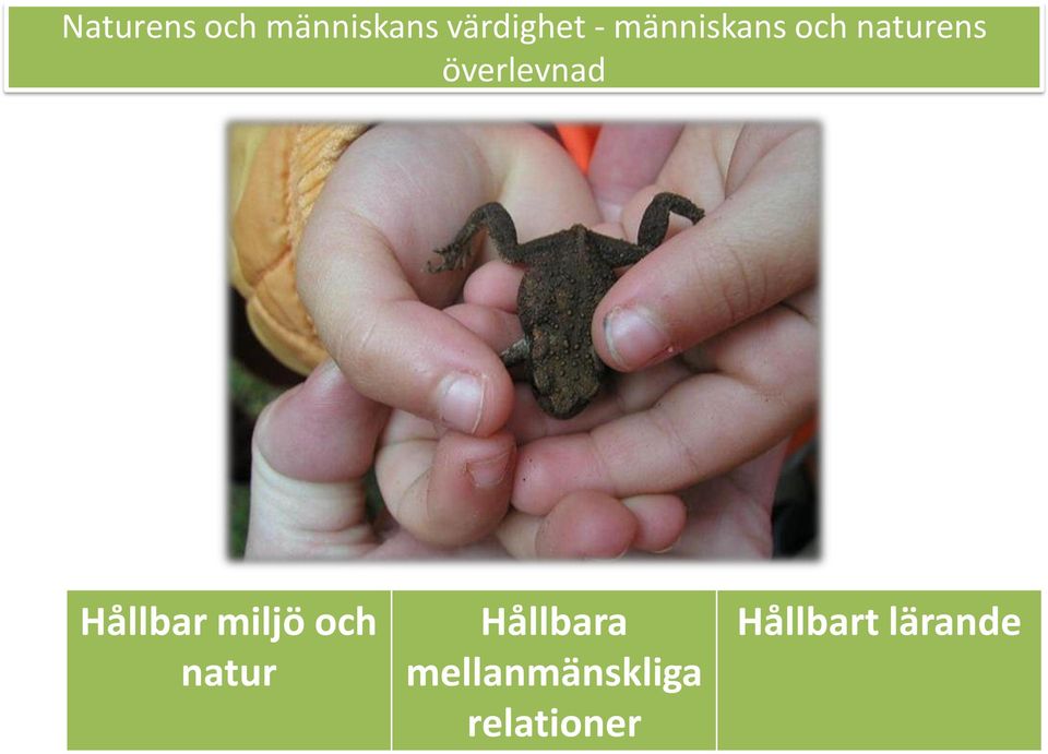 Hållbar miljö och natur Hållbara
