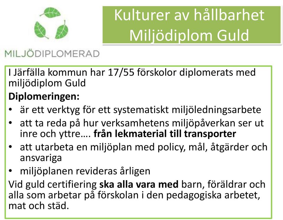 från lekmaterial till transporter att utarbeta en miljöplan med policy, mål, åtgärder och ansvariga miljöplanen revideras
