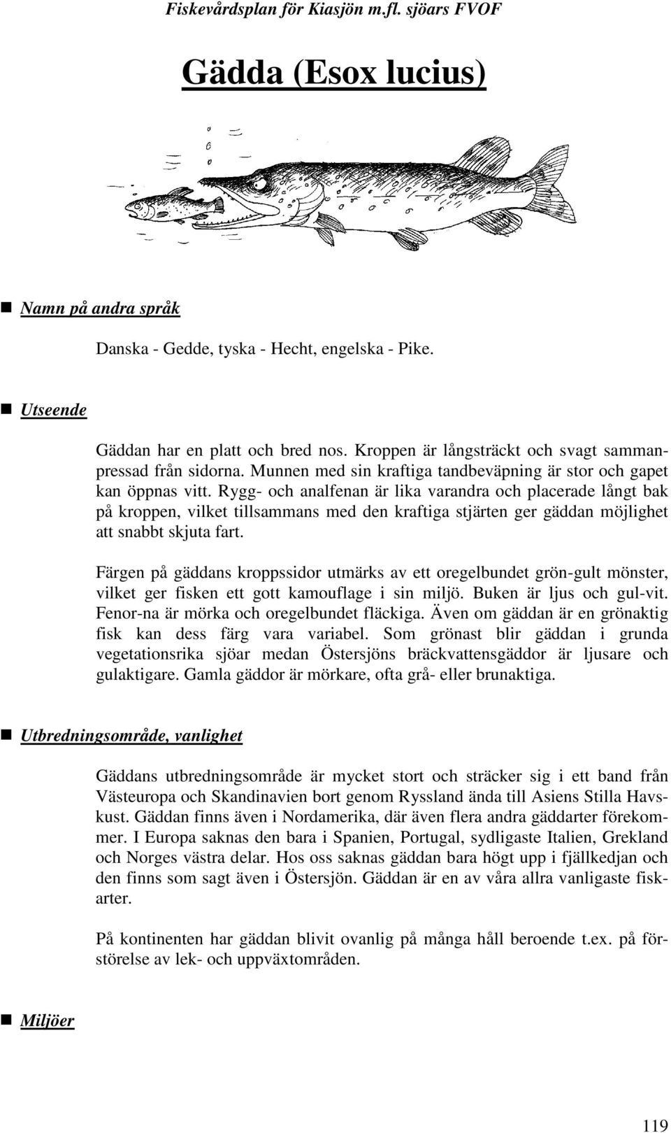 Rygg- och analfenan är lika varandra och placerade långt bak på kroppen, vilket tillsammans med den kraftiga stjärten ger gäddan möjlighet att snabbt skjuta fart.