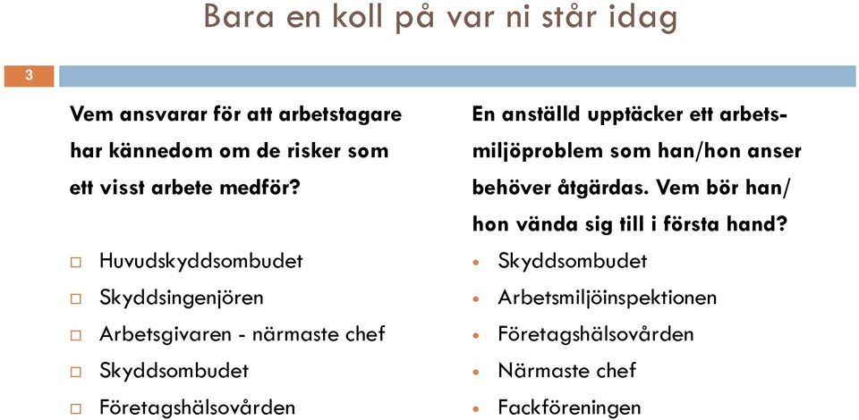 Huvudskyddsombudet Skyddsingenjören Arbetsgivaren - närmaste chef Skyddsombudet Företagshälsovården En