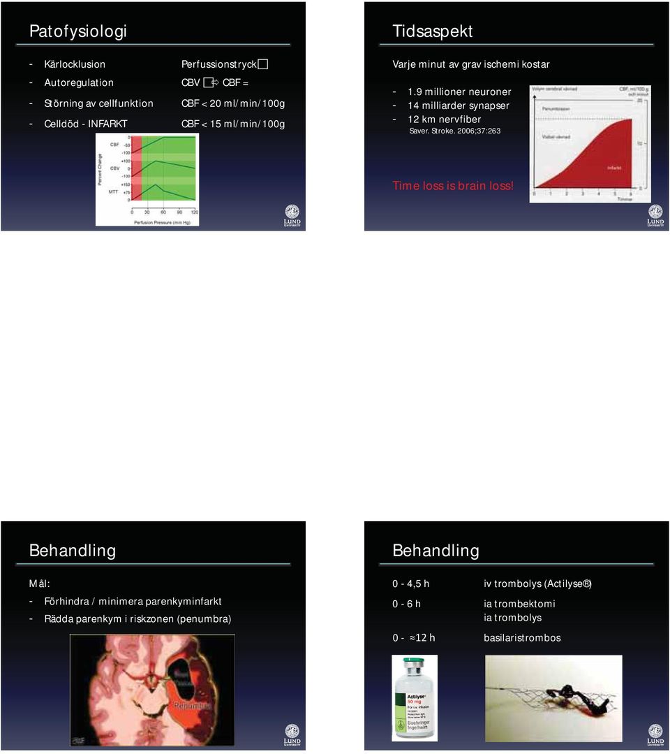 9 millioner neuroner - 14 milliarder synapser - 12 km nervfiber Saver. Stroke. 2006;37:263 Time loss is brain loss!