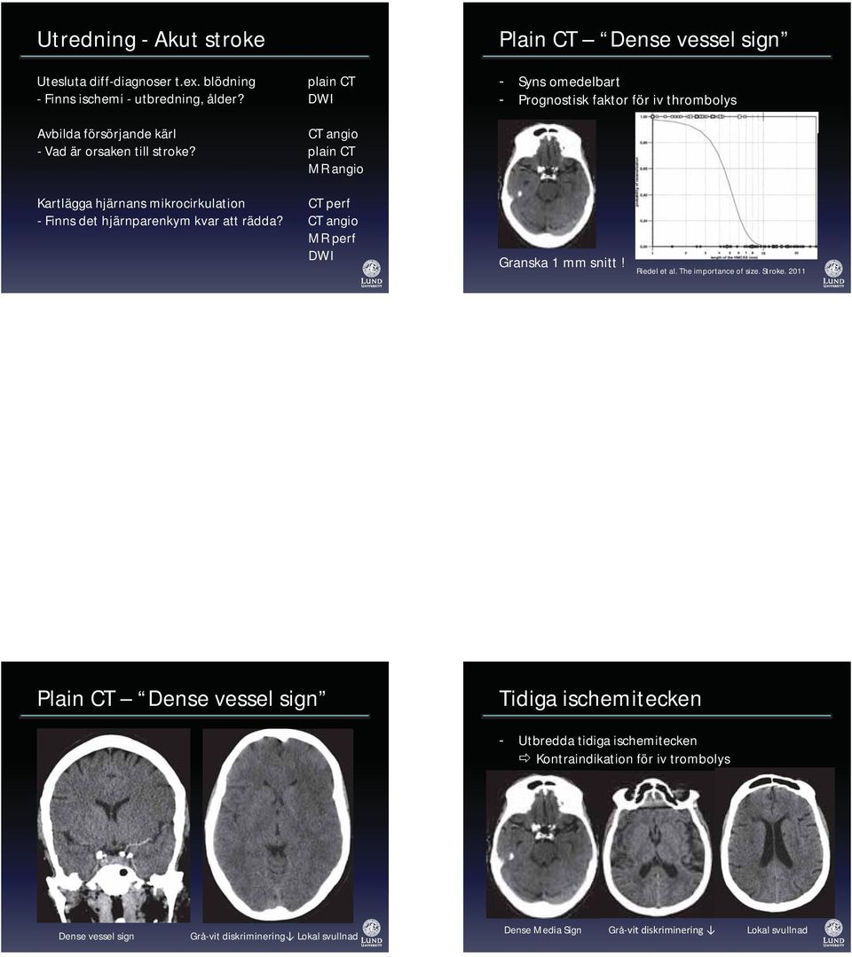 plain CT MR angio Kartlägga hjärnans mikrocirkulation CT perf - Finns det hjärnparenkym kvar att rädda? CT angio MR perf DWI Granska 1 mm snitt! Riedel et al.