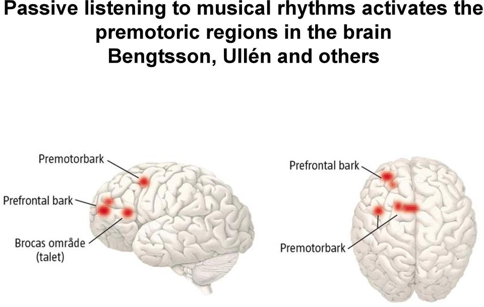 the premotoric regions in